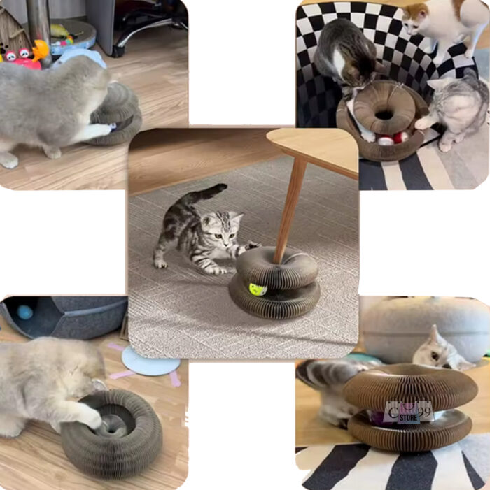 Rascador Para Gato Torre interactiva