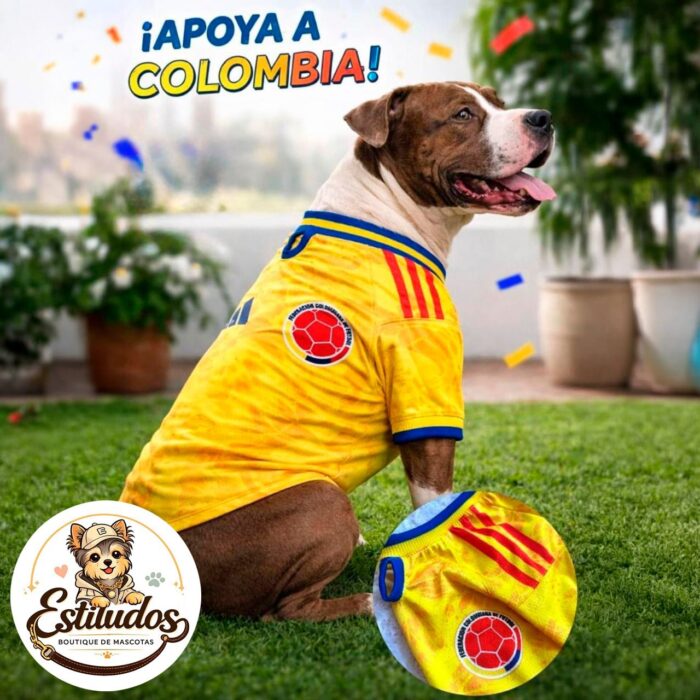 SET COLOMBIA MASCOTA/PERRO/GATO - Dropi 2097758 - Imagen 2392955