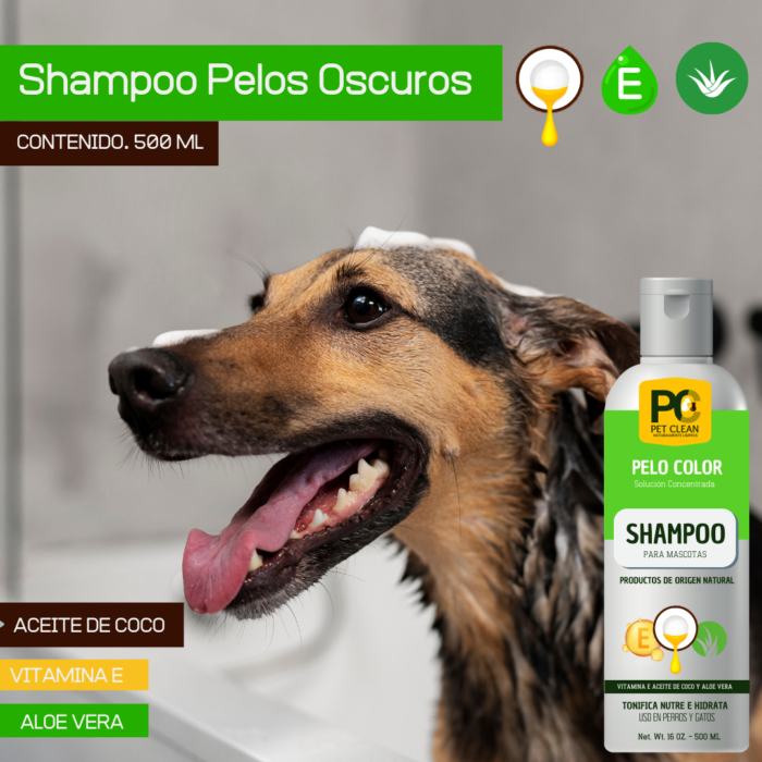 Kit Shampoo / Rinse x 2