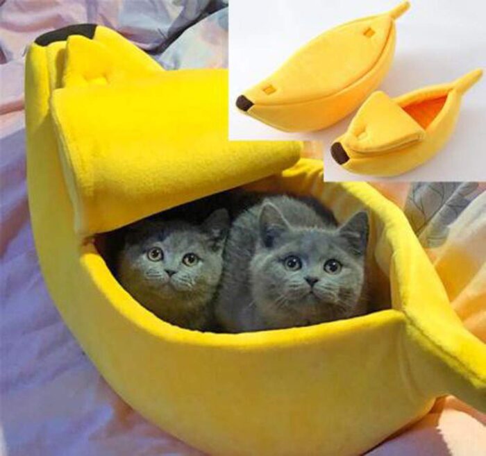 CAMA BANANO  GATOS CALIDO TALLA XL
