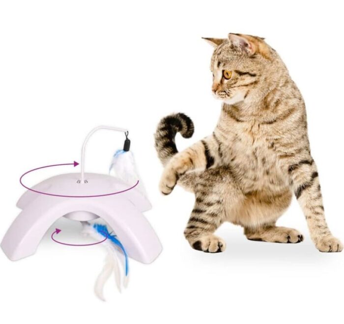 Juguete Gato Electronico Multifuncional