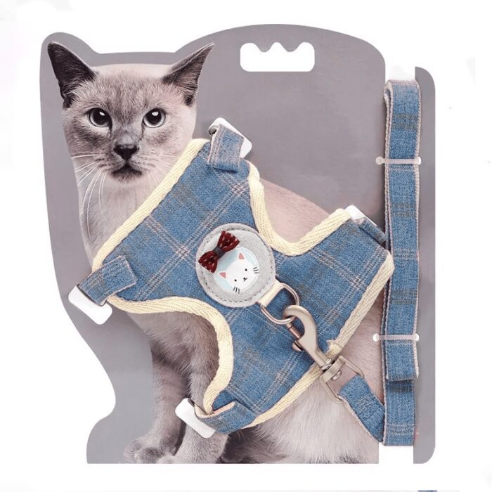 ARNES PARA GATO