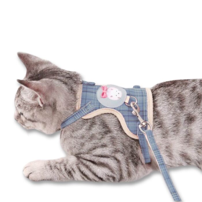 ARNES PARA GATO