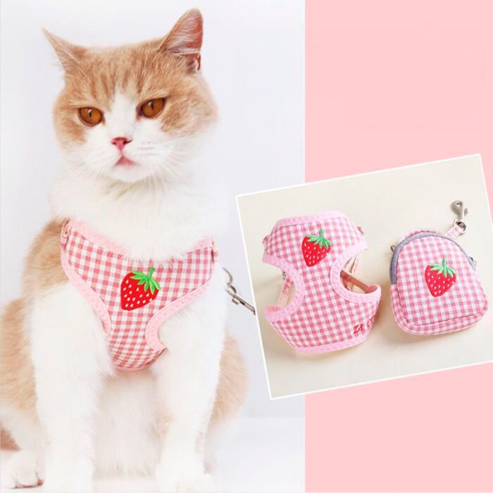 Arnés Para Gatos Frutitas