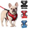 Arnés Pechera Chaleco Para Perro Y Gato