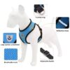 Arnés Pechera Chaleco Para Perro Y Gato
