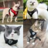 Arnés Pechera Chaleco Para Perro Y Gato