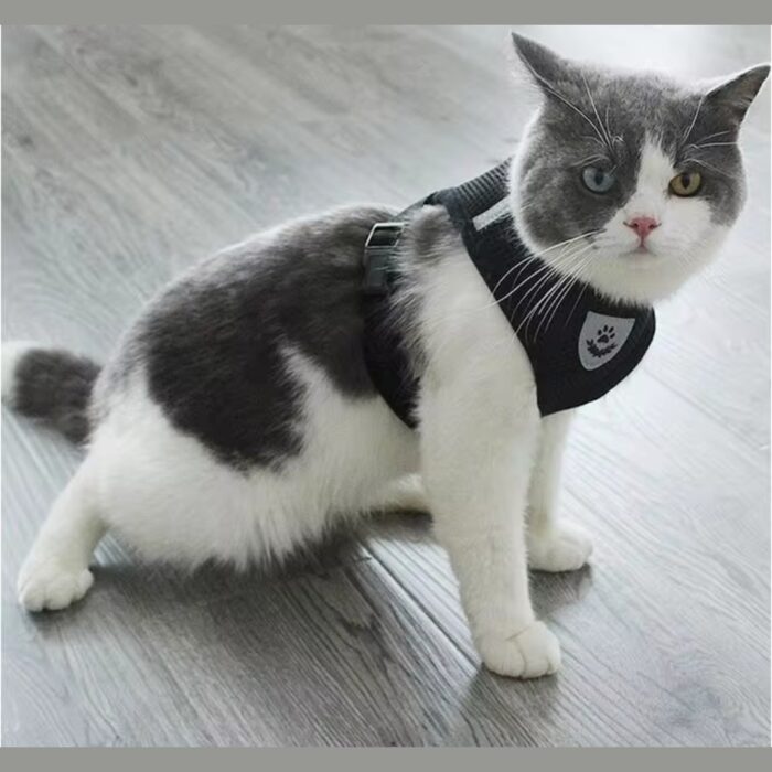 Arnés Pechera Chaleco Para Perro Y Gato