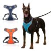 Arnés Para Perros Medianos y Grandes