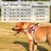 Arnes Pechera Para Perro Service Dog